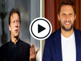 Shahid Afridi stated the truth about Imran Khan's statement