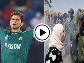 Meaningful statement from Shaheen Afridi about violence against Palestinians