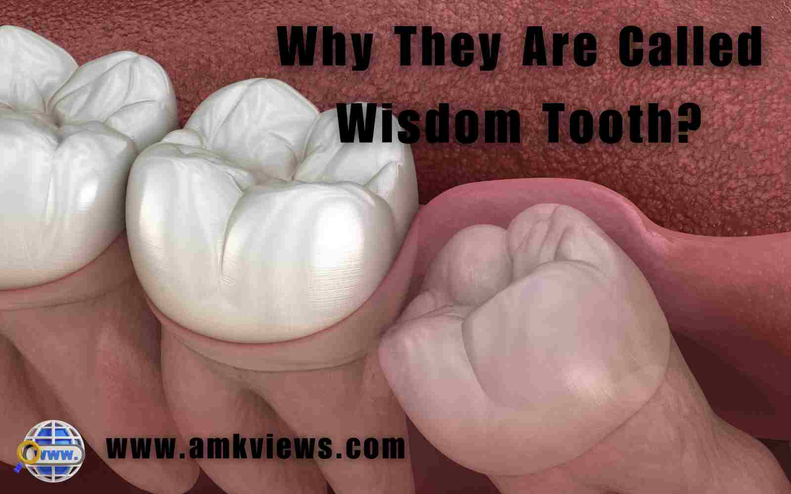 Why They Are Called Wisdom Tooth?